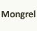 Mongrel